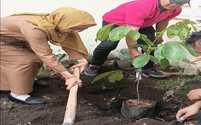 Penanaman bibit pohon matoa dan coklat di Hari Bumi
